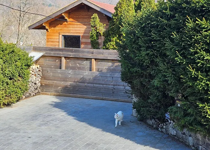 シャレー Bois Des Alpes アヌシー